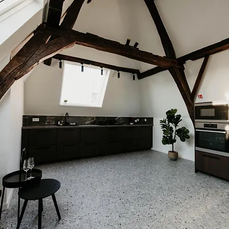 Gorgeous Duplex In Old Centre Appartement *